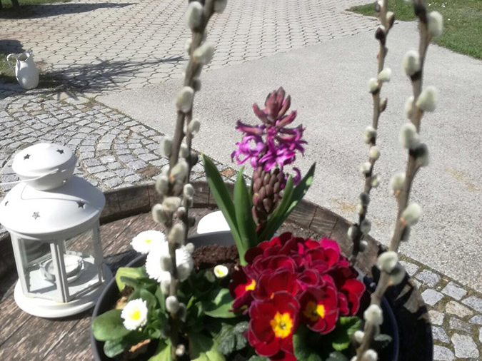 Zusammensetzung mit Weiden